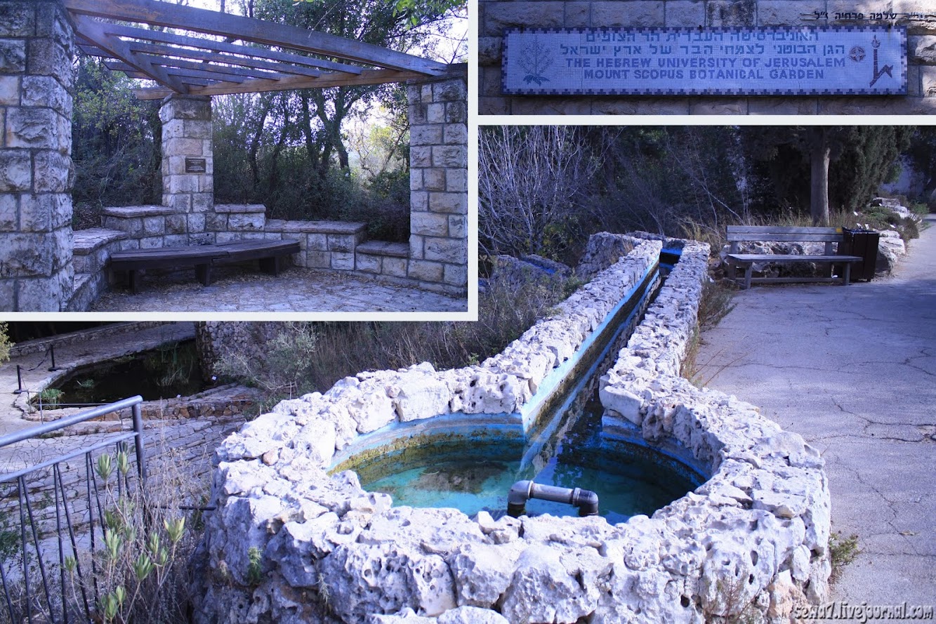 ботанический сад