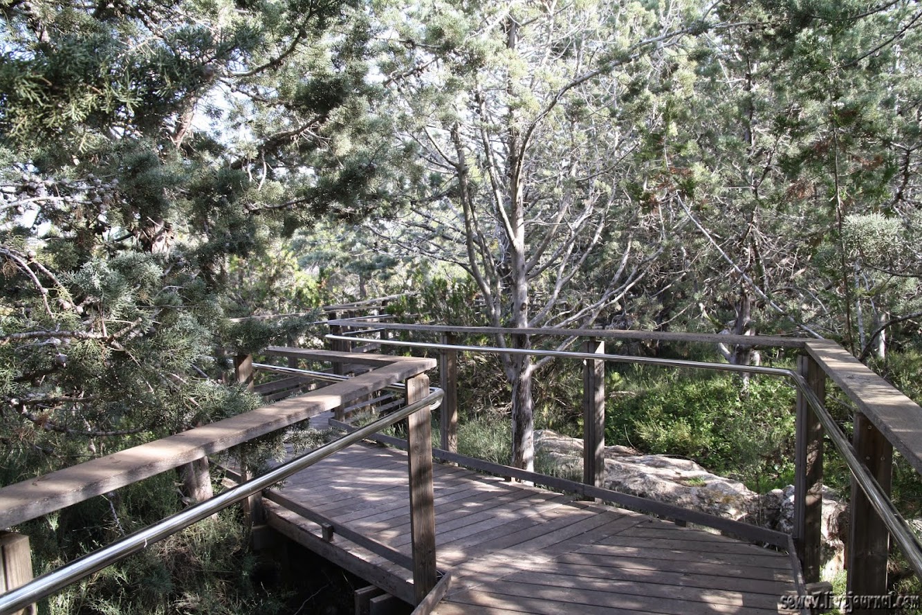 Университетский городок