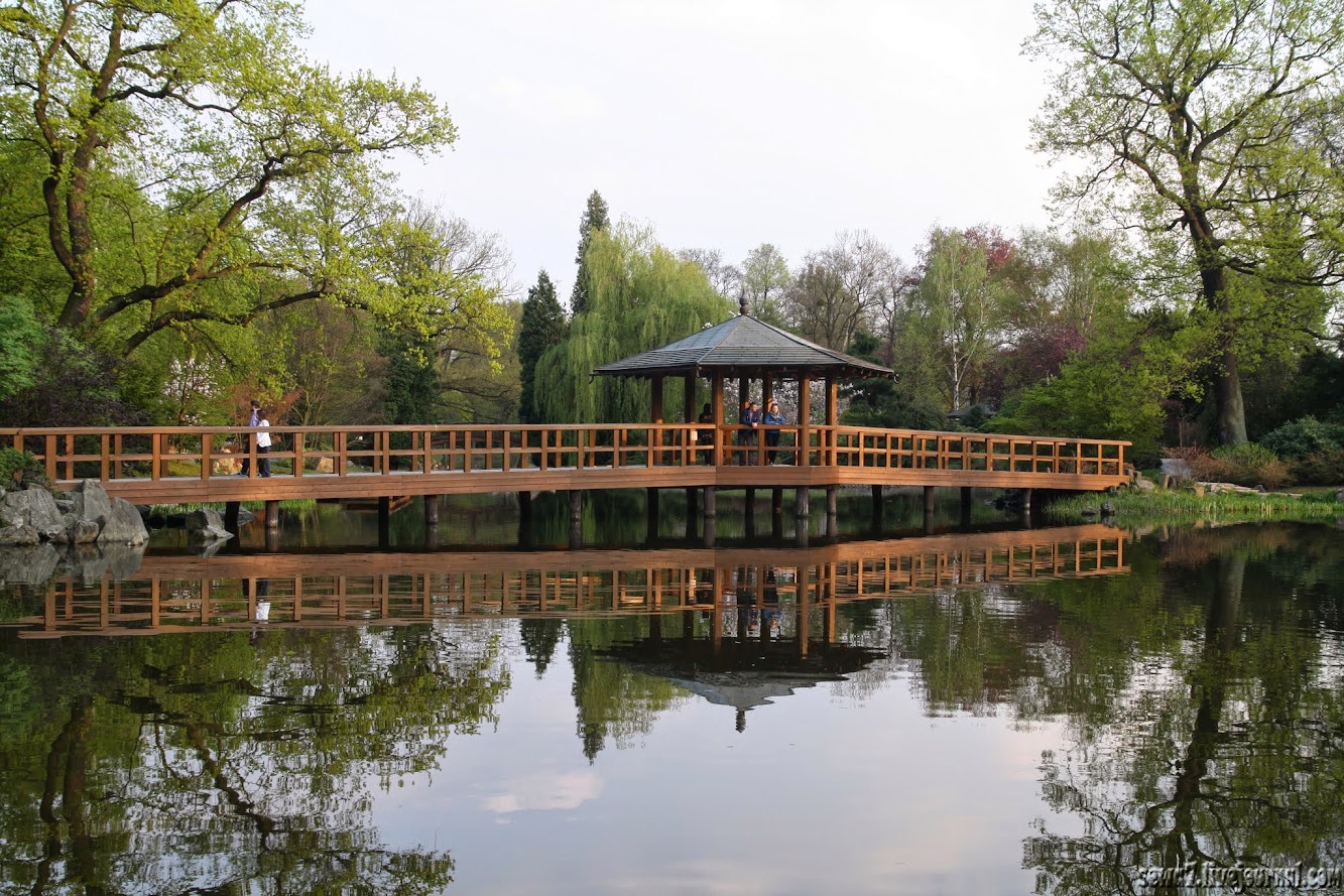 Японский сад