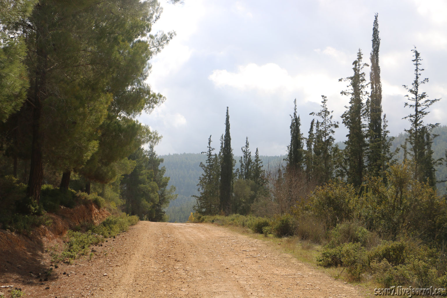 Иерусалимские горы