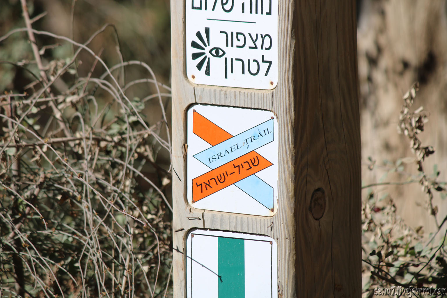 Тропа Израиля