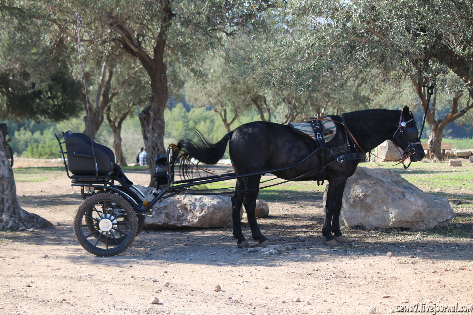 Тропа Израиля