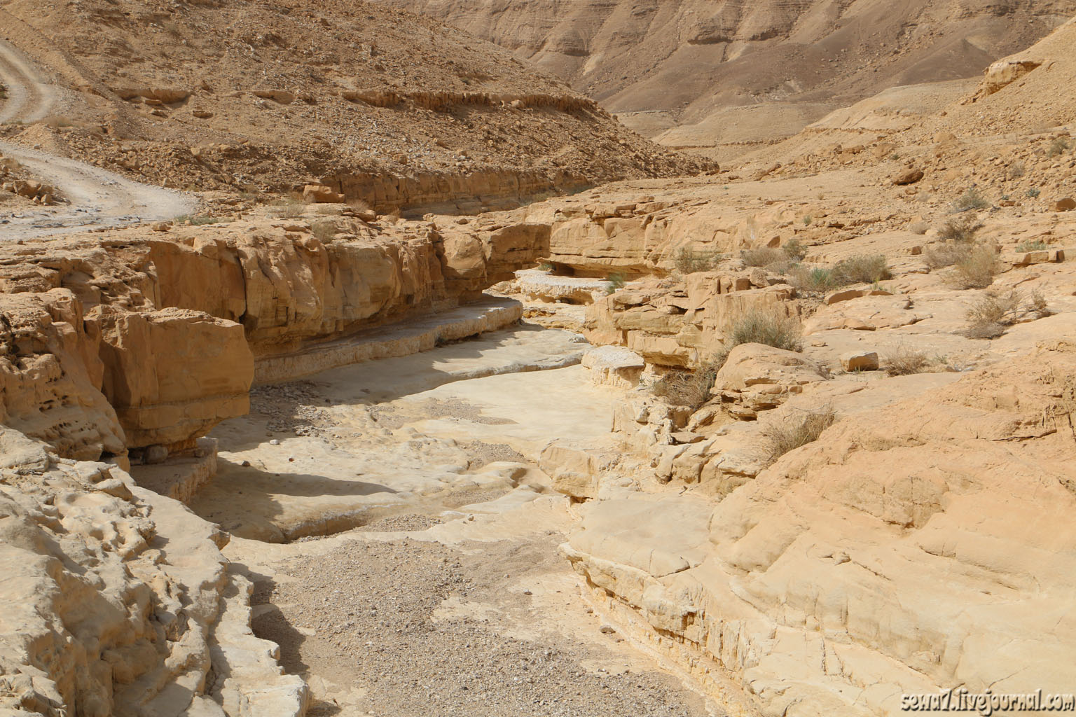 Нахаль Перес