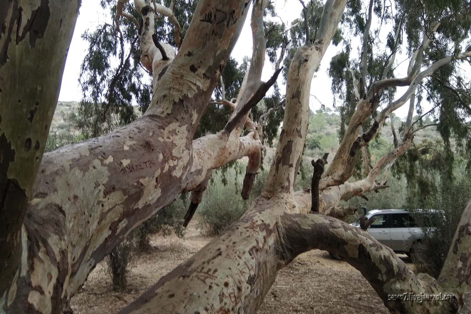 покатушки на внедорожнике