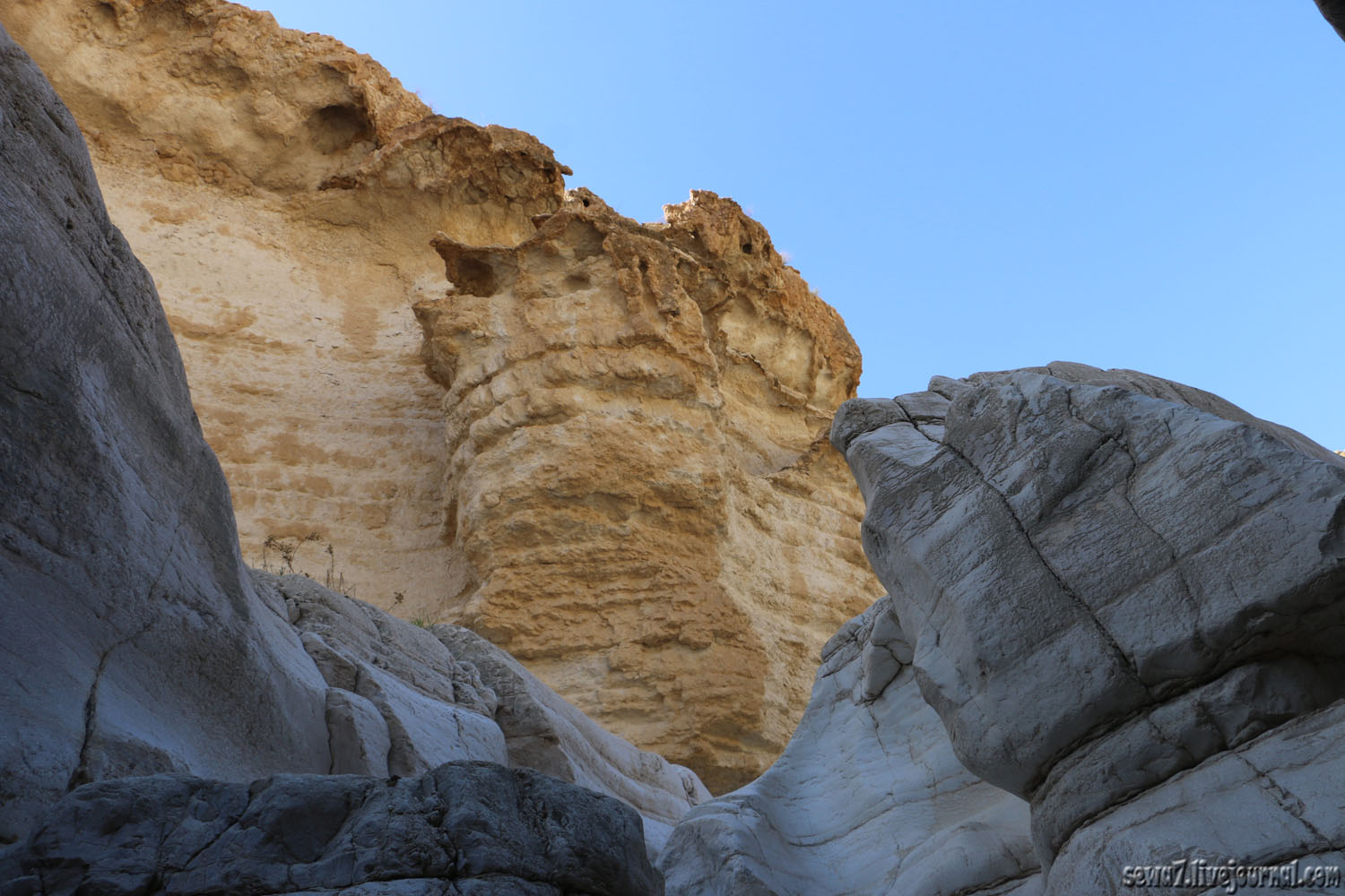 Позеленевшая пустыня