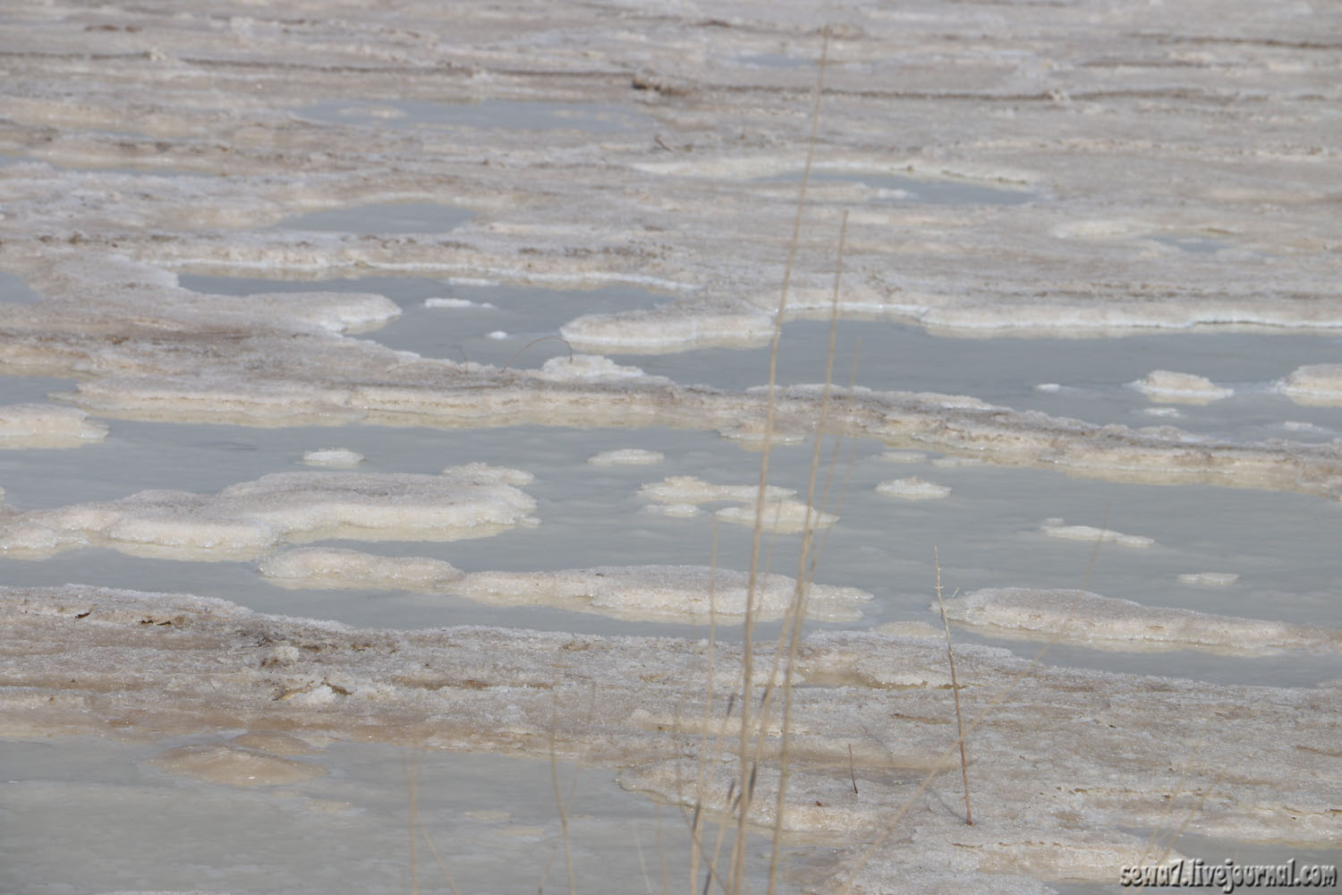 Мертвое море