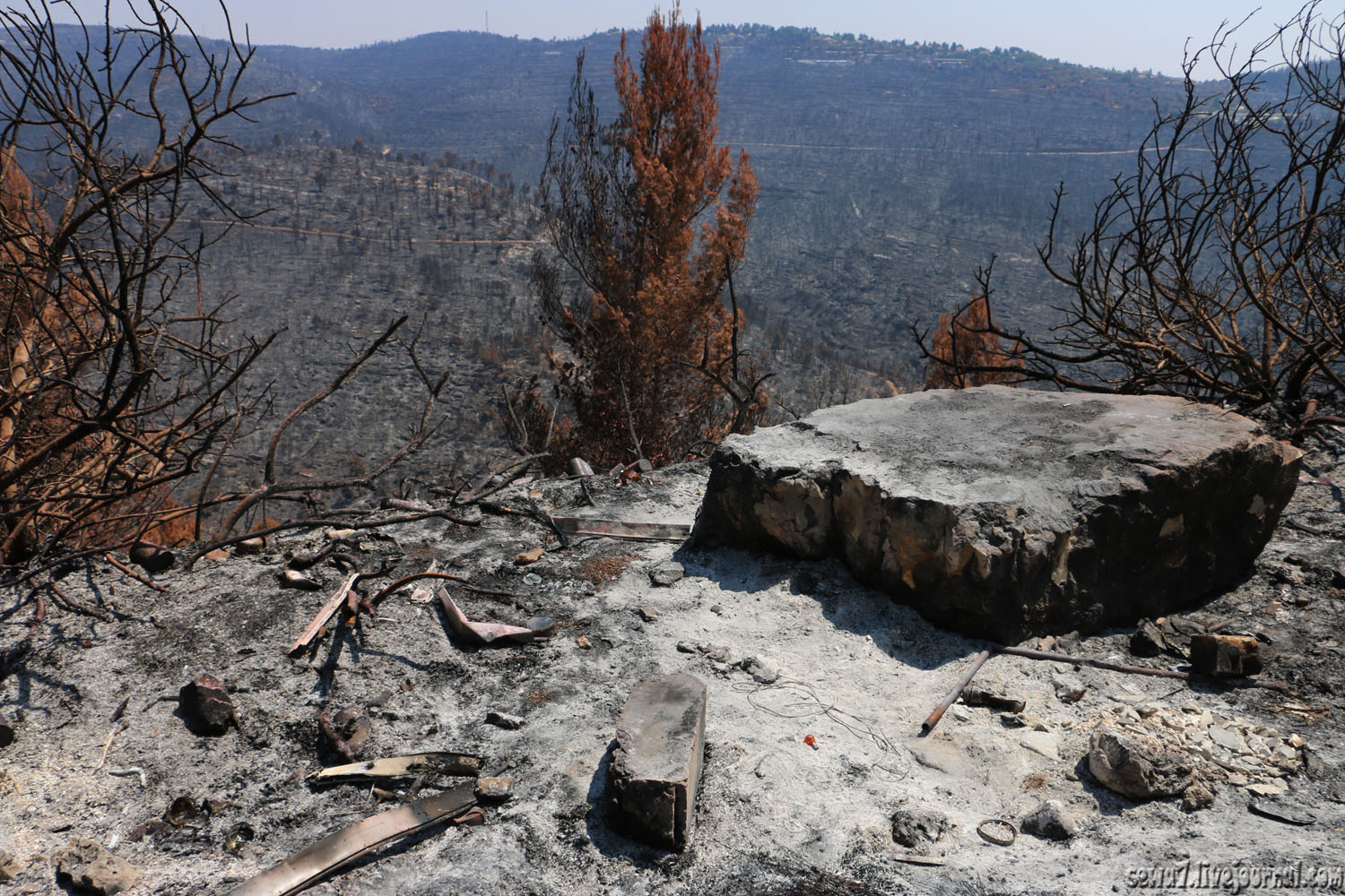 Лесной пожар