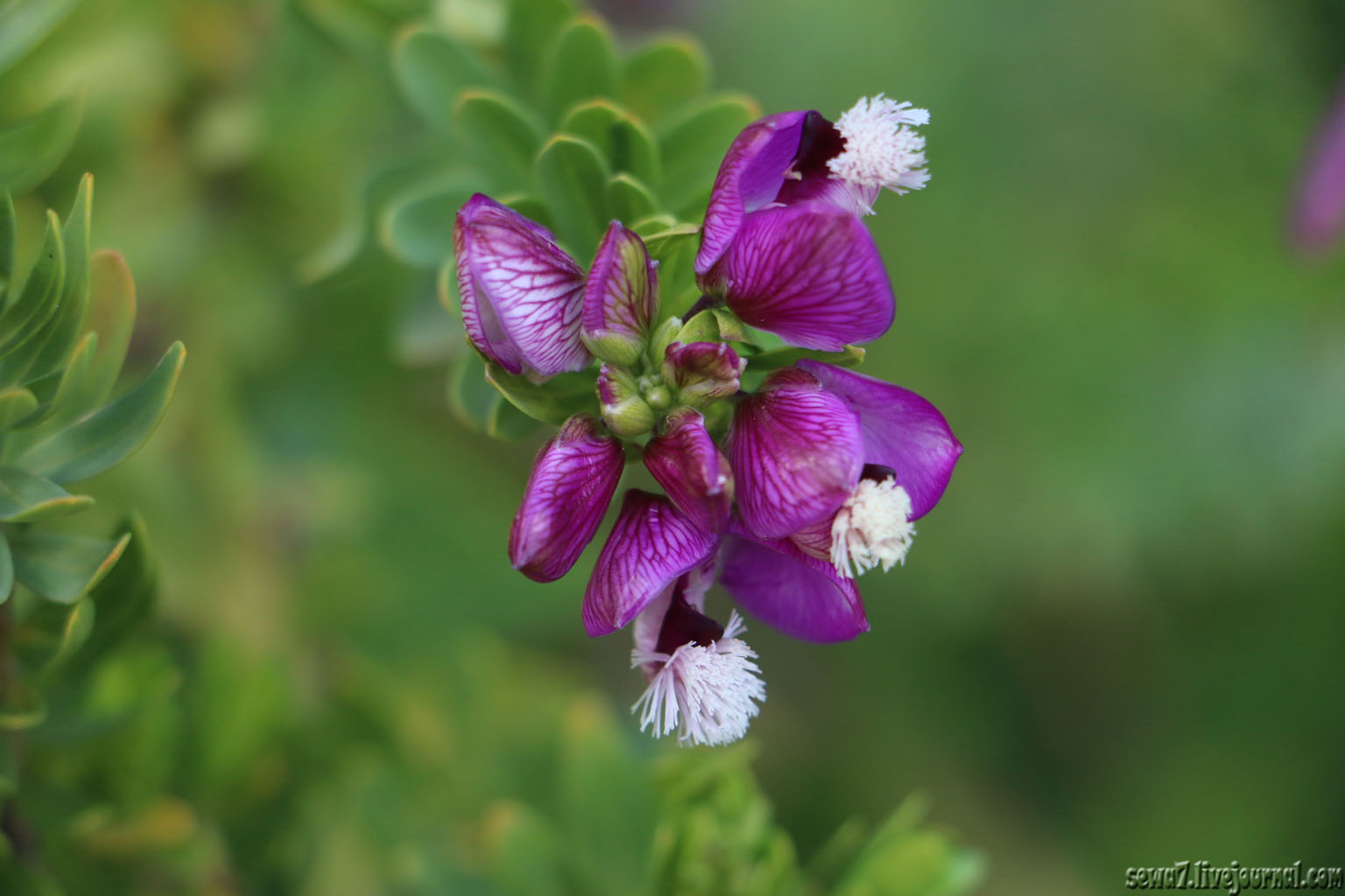 ботанический сад